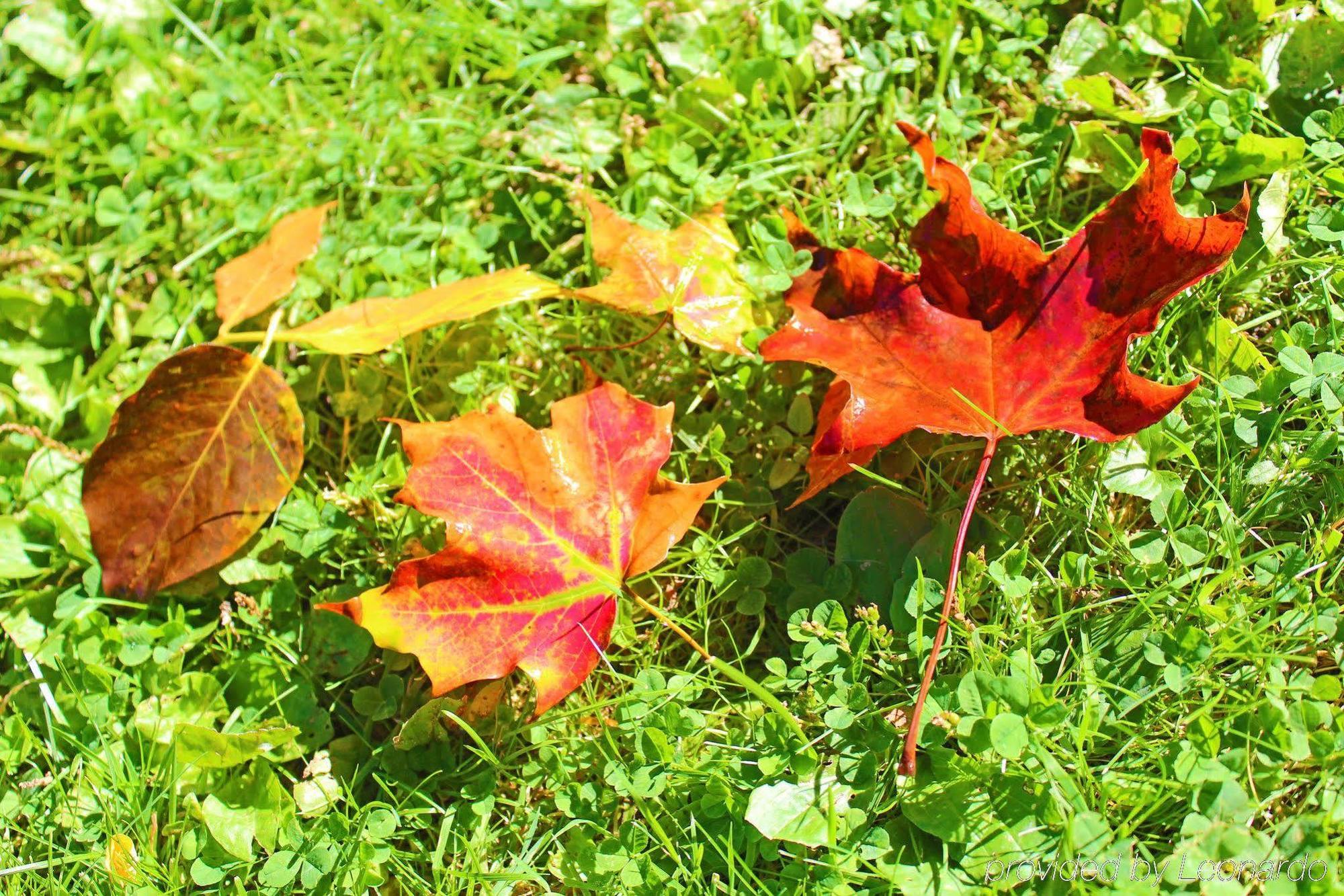 Heart Of The Village Bed & Breakfast In Shelburne Vt Luaran gambar